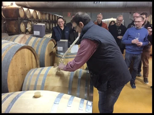 Buil y Gine Wine Thief by Nick Serra.jpg
