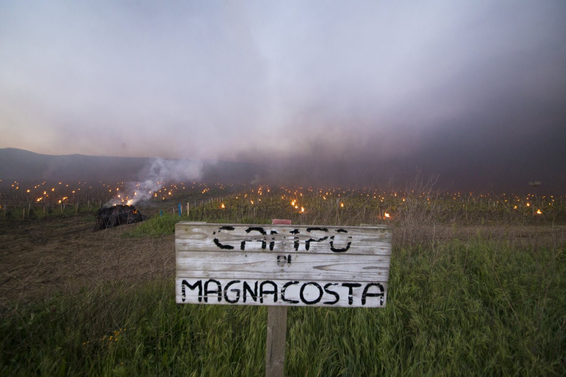 Trinoro Campo di Magnacosta close up with torches Spring 2019.jpg