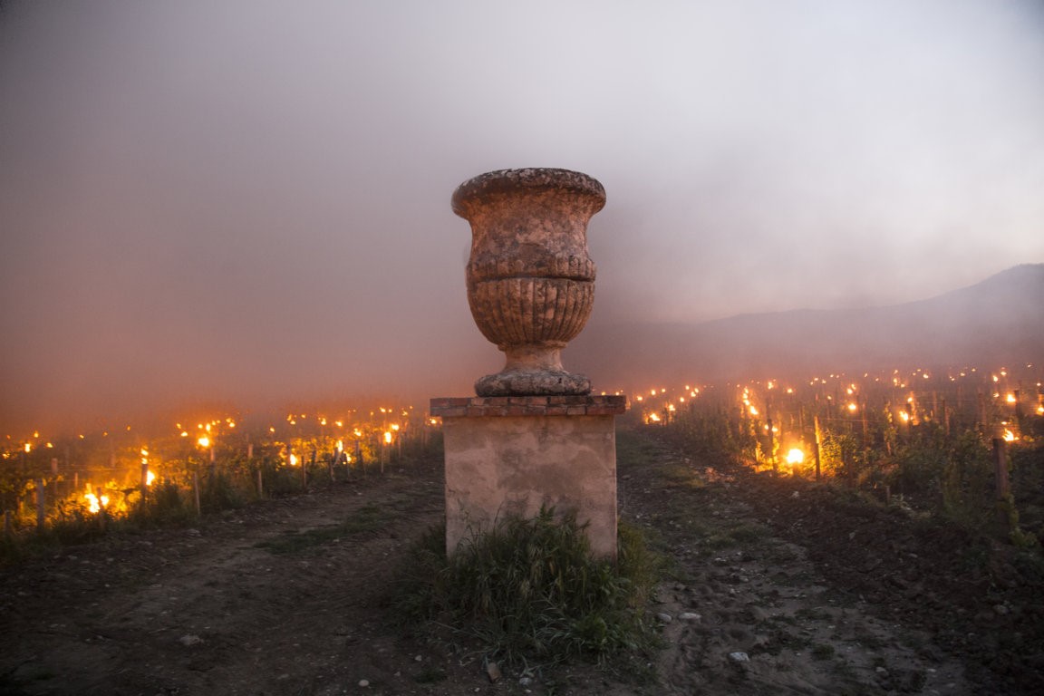 Trinoro vineyard urn with torches Spring 2019.jpg