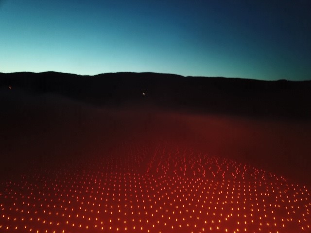 Trinoro vineyard with torches Spring 2019 3.jpg