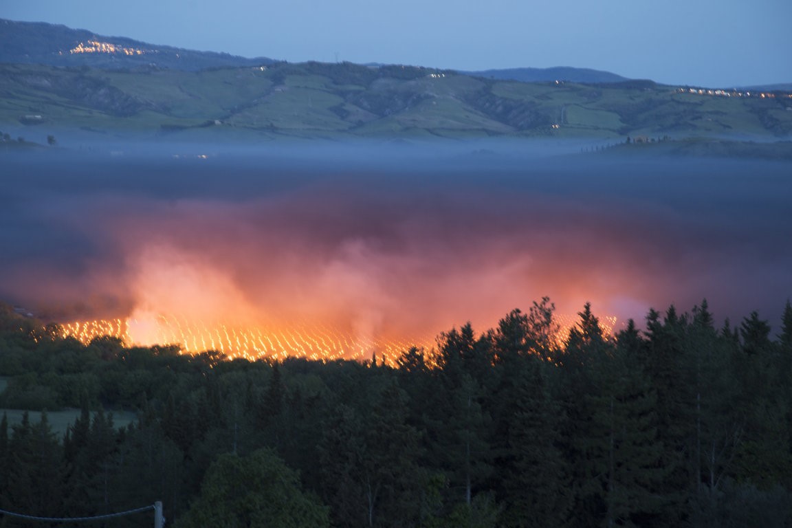 Trinoro vineyard with torches Spring 2019 4.jpg