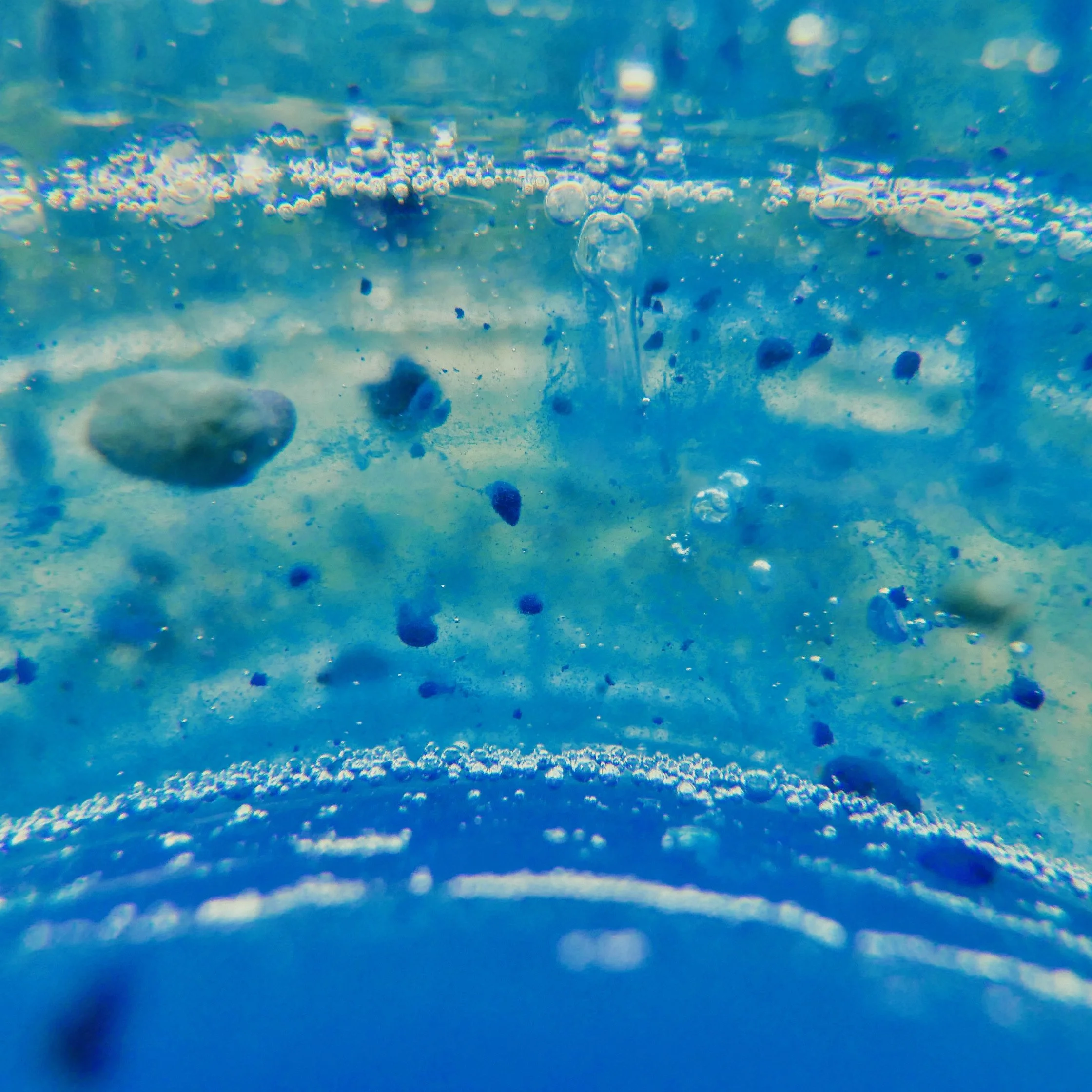 Detail image of Cyanobacteria and air clusters within the sculpture.