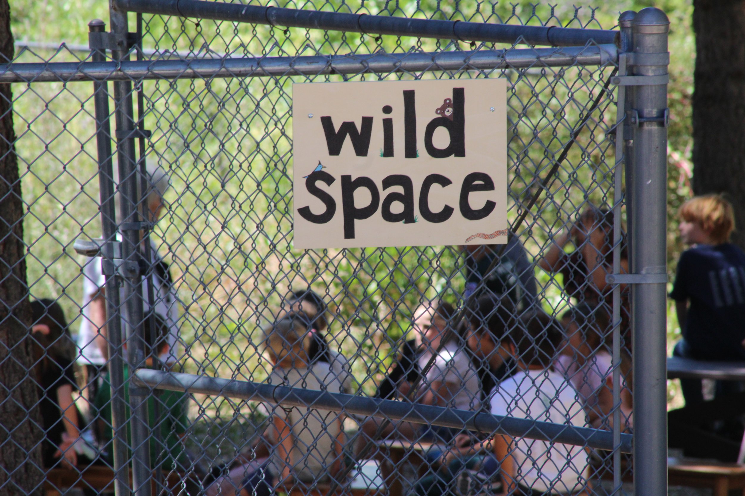 learning in our Wild Space