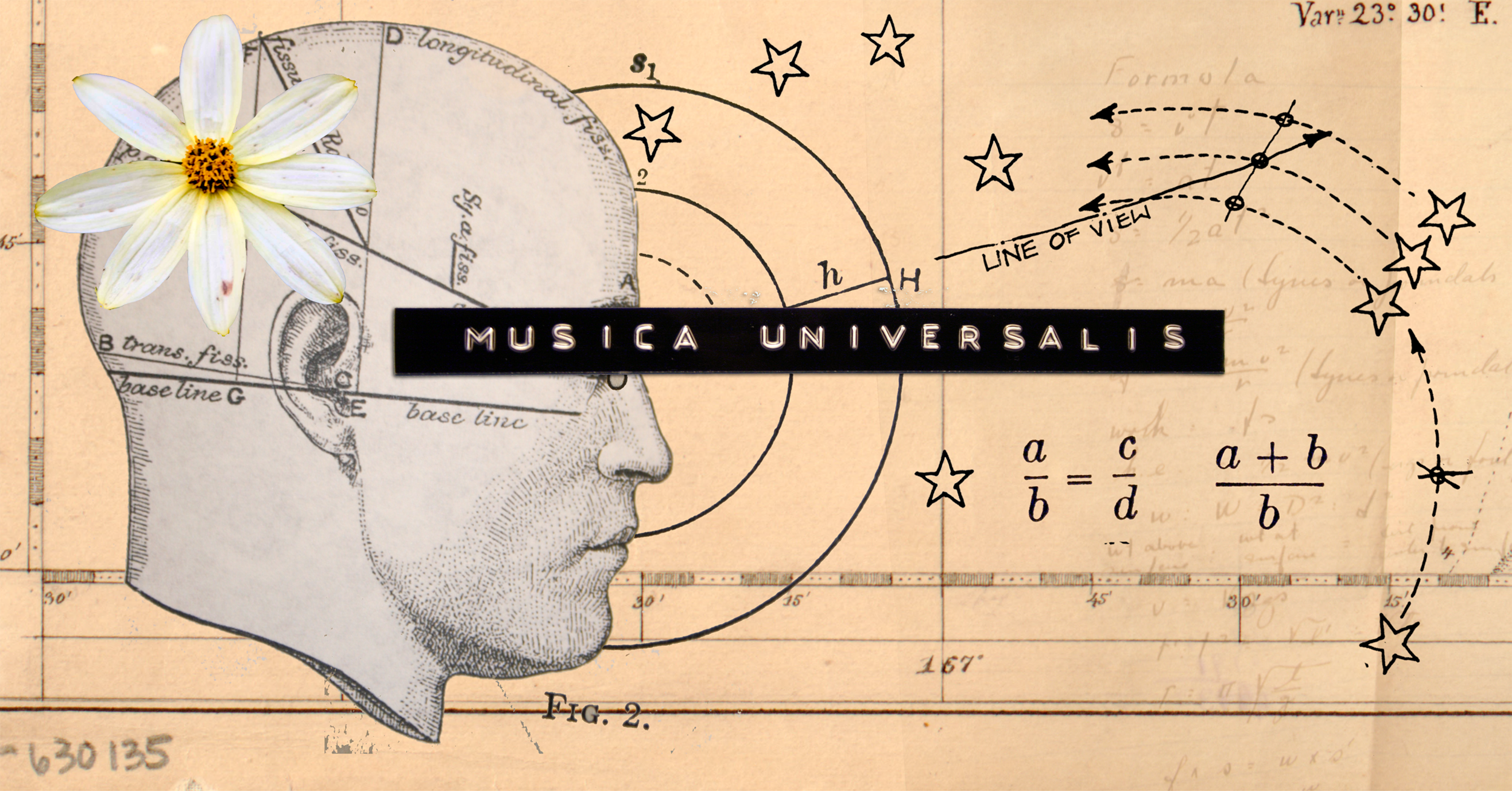MidnightUmbrella_AssortedIllustrations_33.png