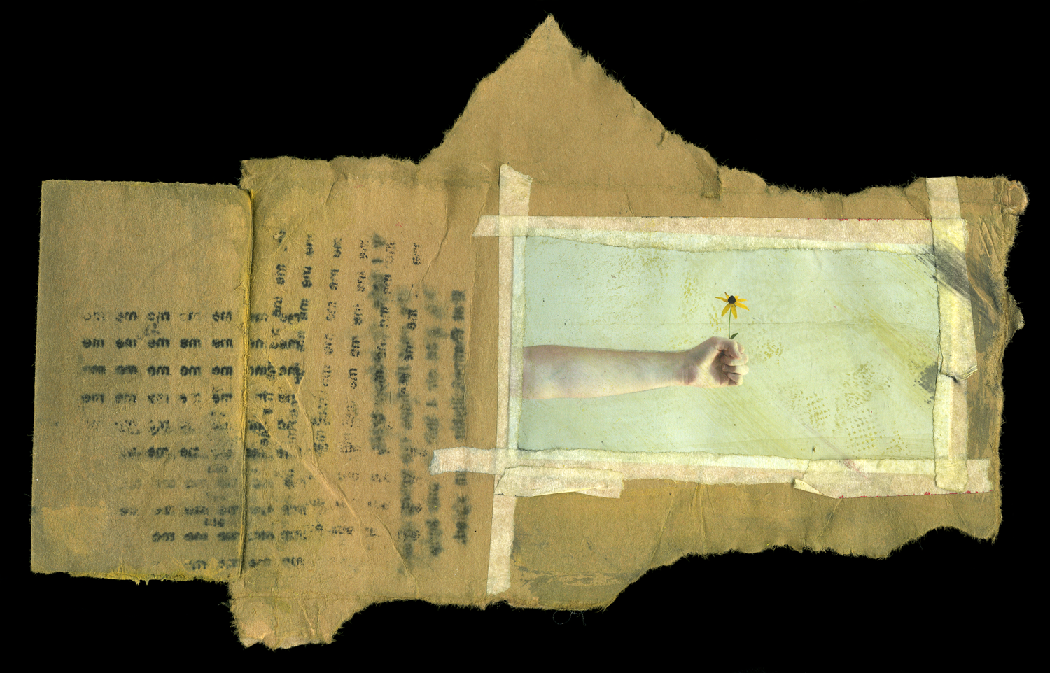 MidnightUmbrella_AssortedIllustrations_76.png
