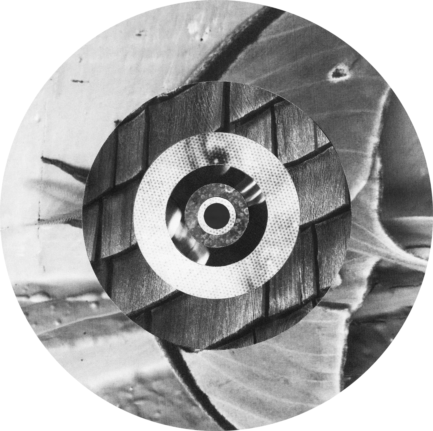 Circle_Collages_GramHands_Crop&Trim.png