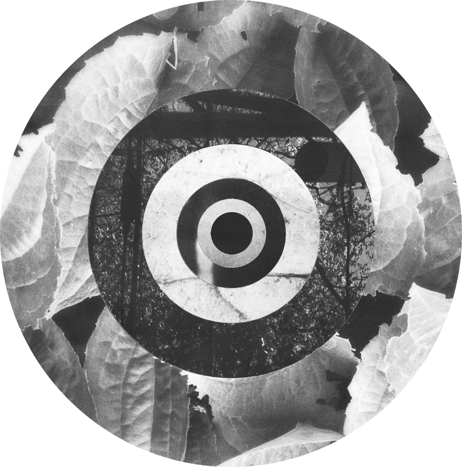 Circle_Collages_LeafRing_Crop&Trim.png