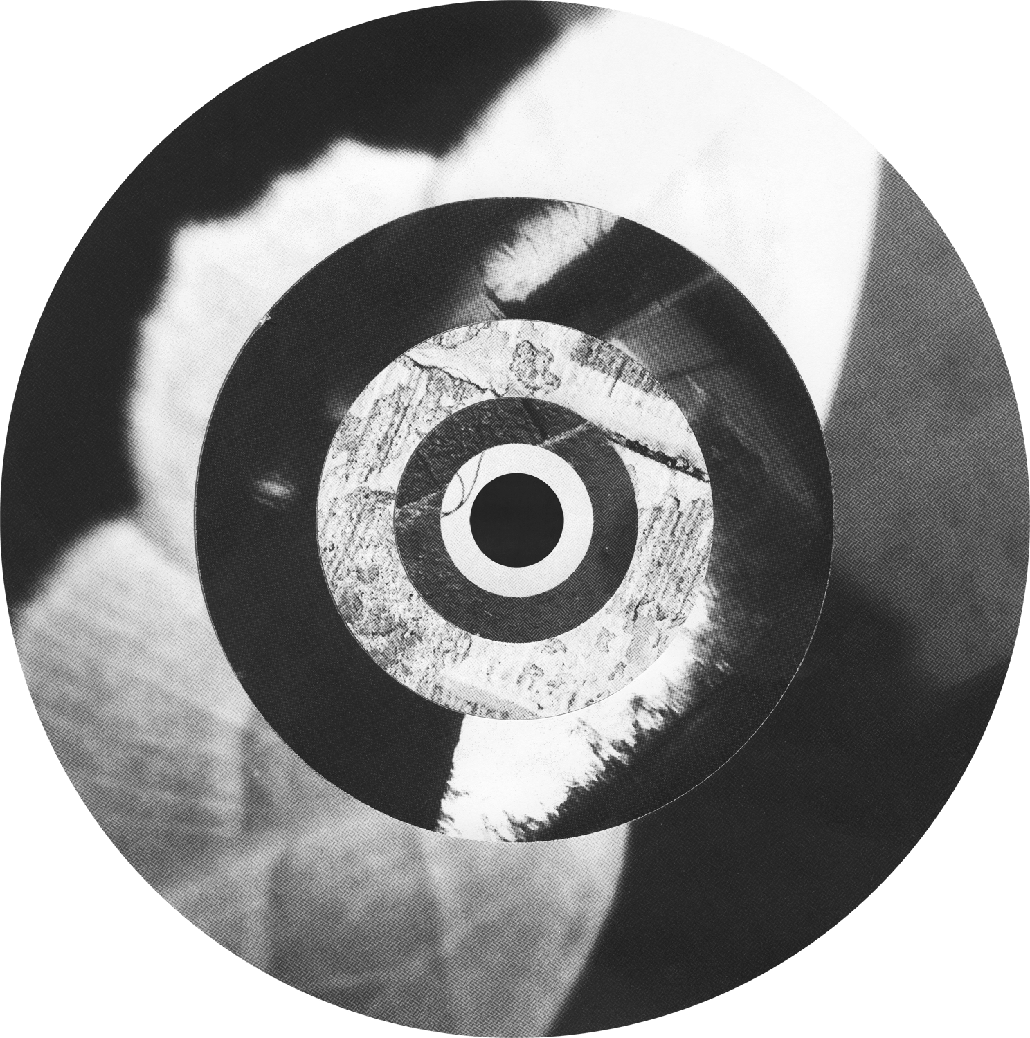 Circle_Collages_MothWings_Crop&Trim.png