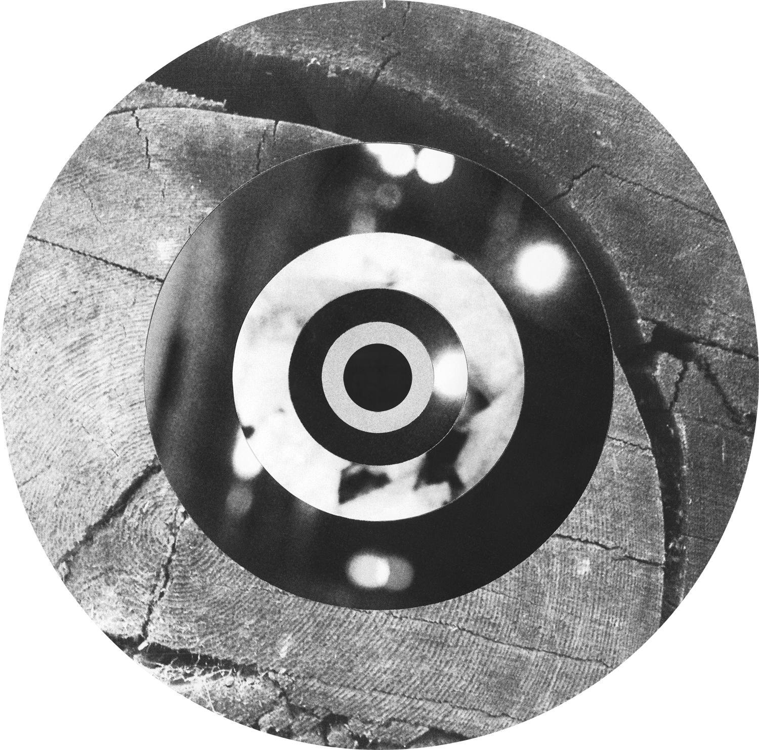 Circle_Collages_Redwood_Crop&Trim.png