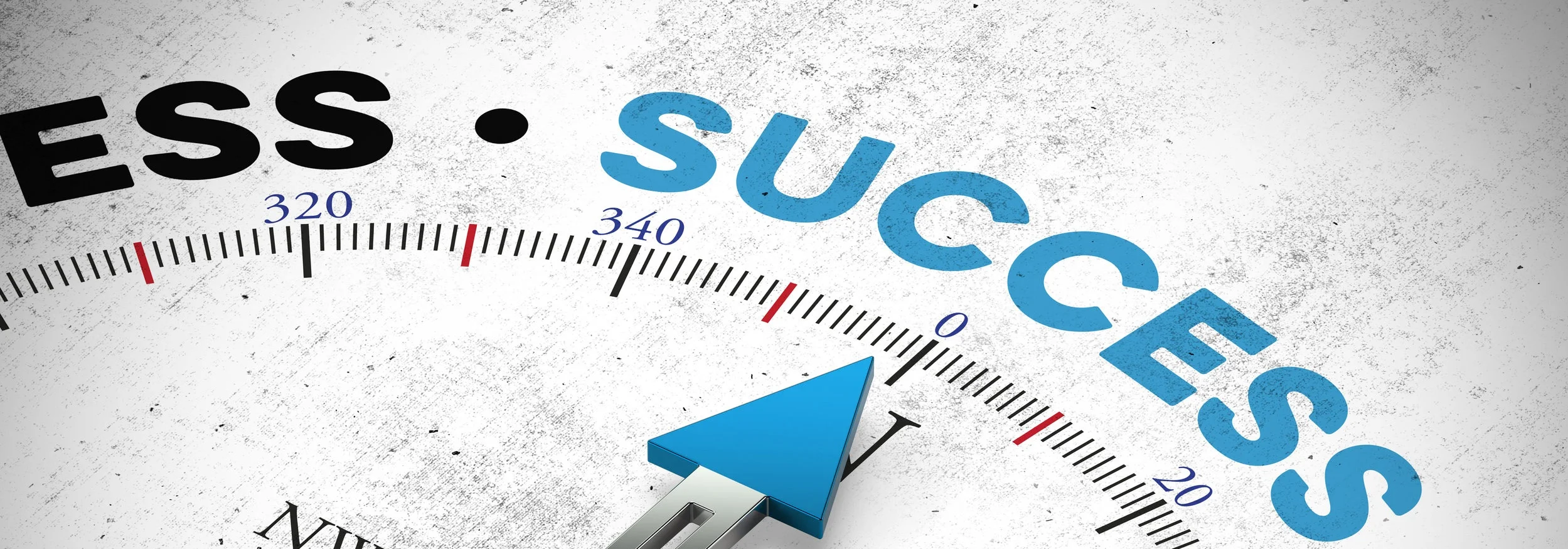 Success.jpg