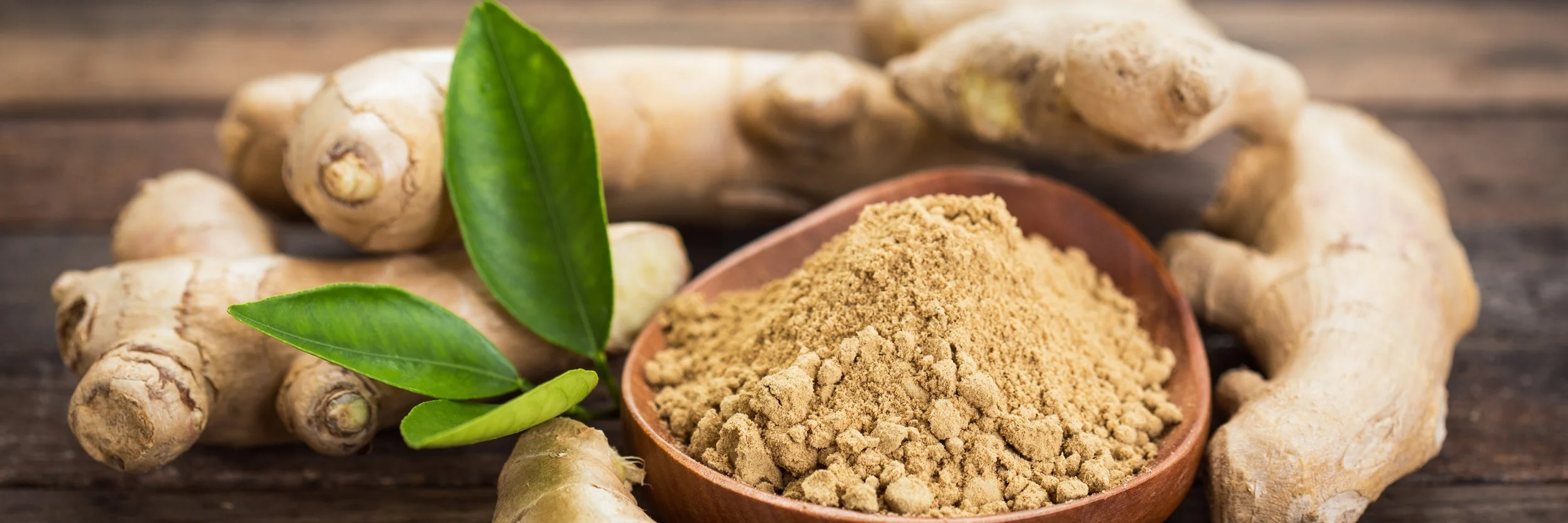 Ginger%2B2.jpg