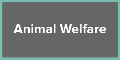 animal-welfare.jpg