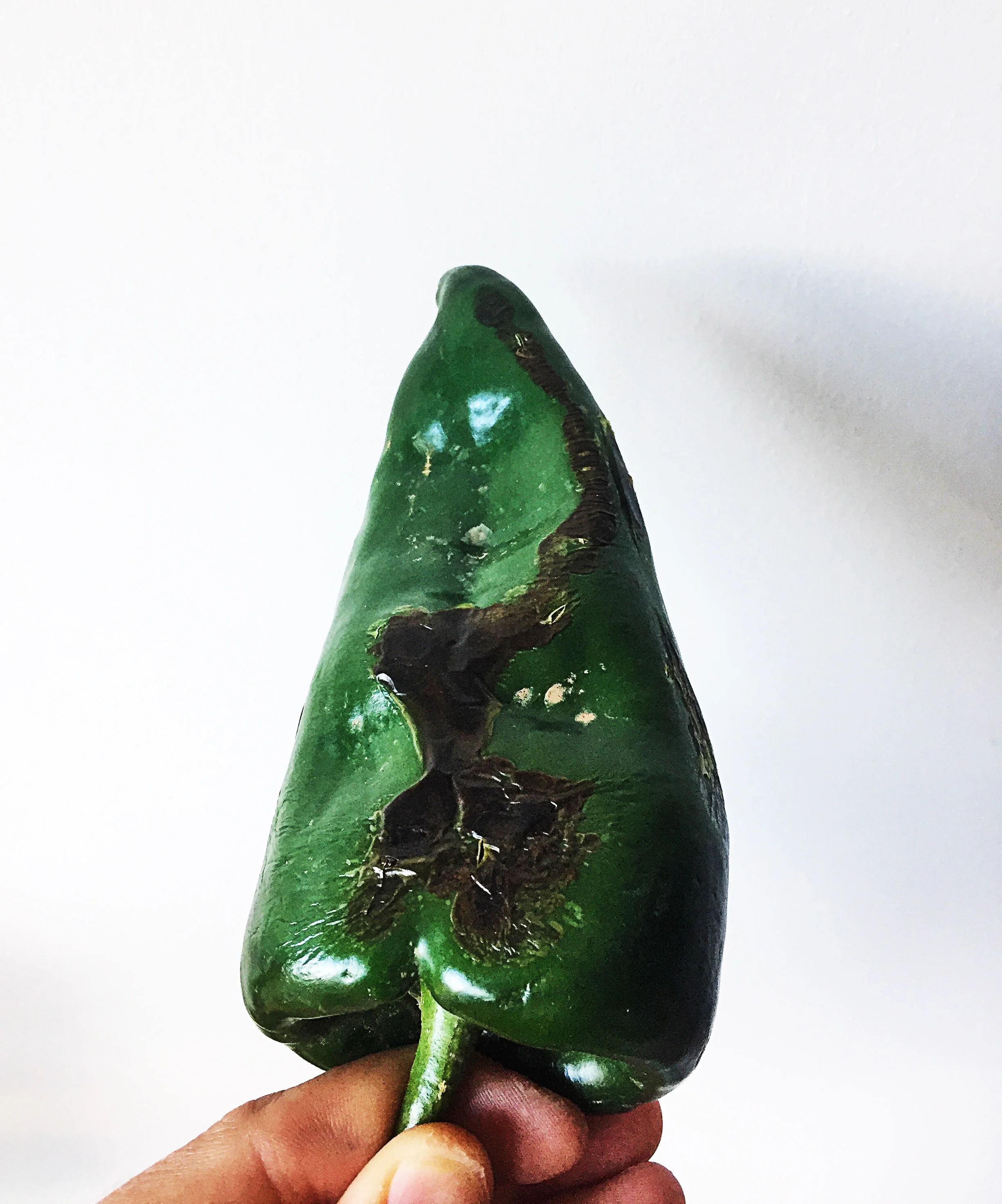 1. The first main task we'll have is charring poblano. The best way to do this is carefully turn on your burner whether gas or electric and carefully set the pepper on the burner. Let it char for a minute and rotate. Use tongs to carefully rotate it from side to side until you get a blackened edge.