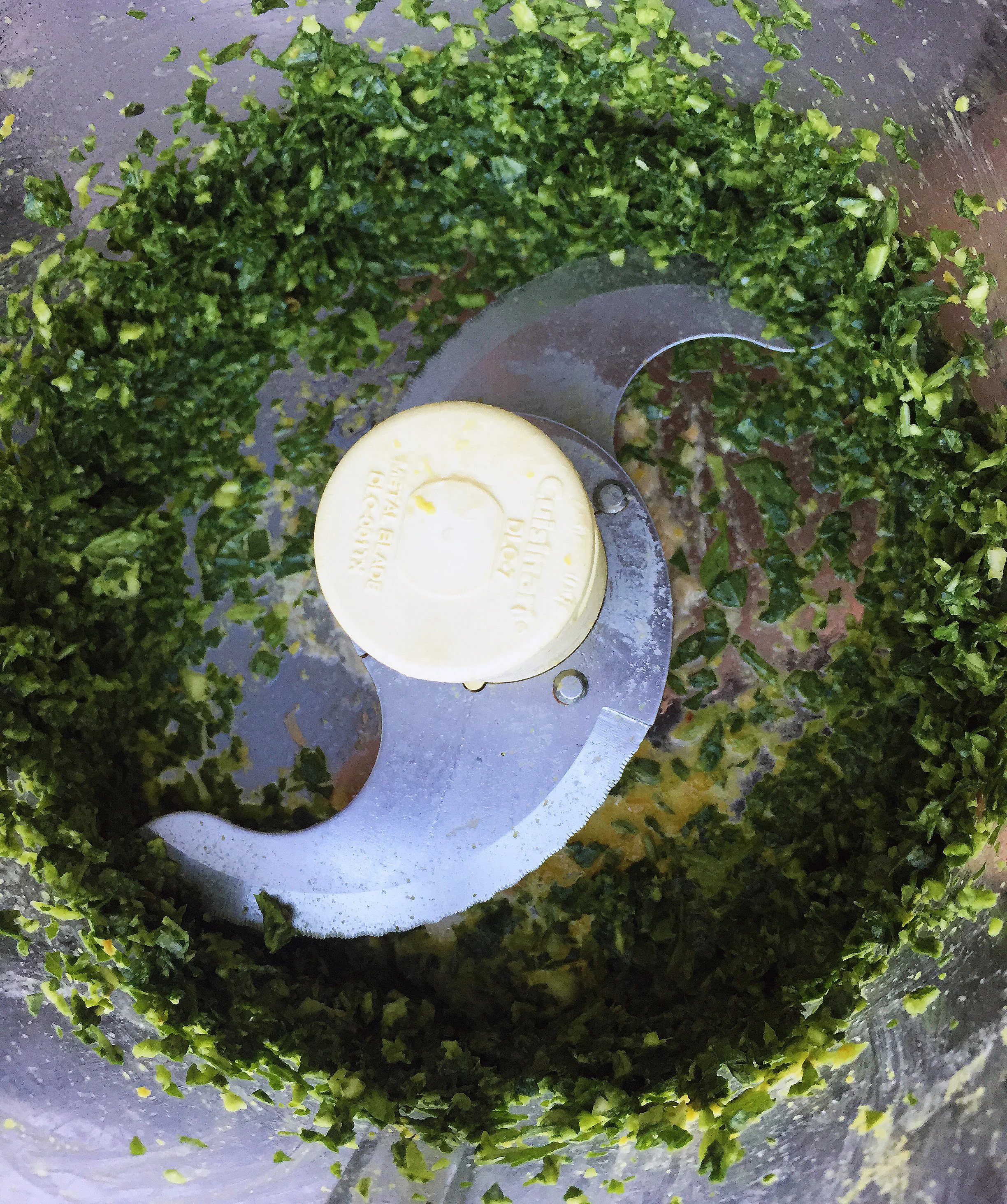 2. Place all ingredients for pesto into food processor and process for 10 seconds. Use spatula to scrape down side and repeat.