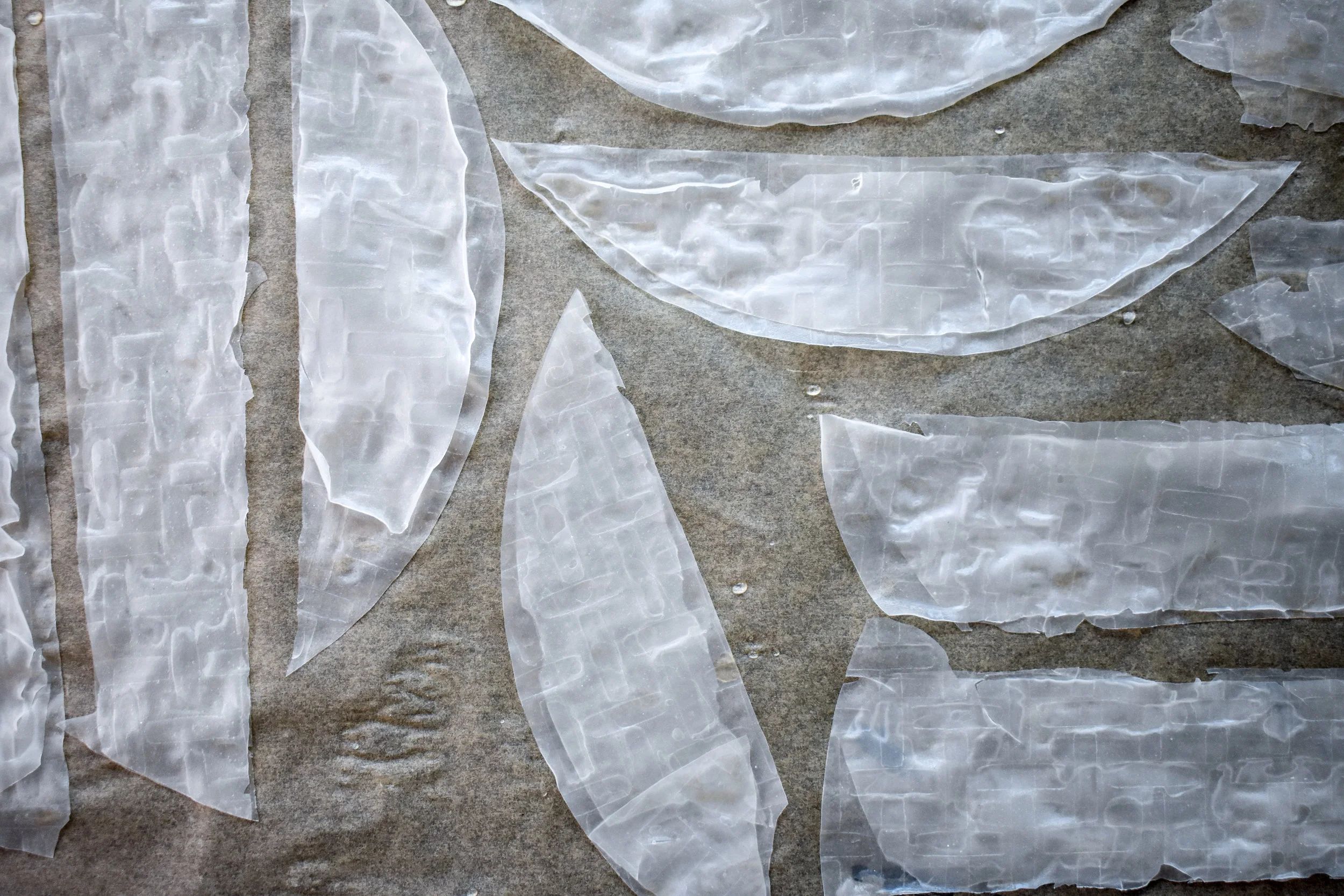 3. Line your bacon pieces on a baking sheet lined with parchment. They'll be damp. Leave a bit of room between each sheet.