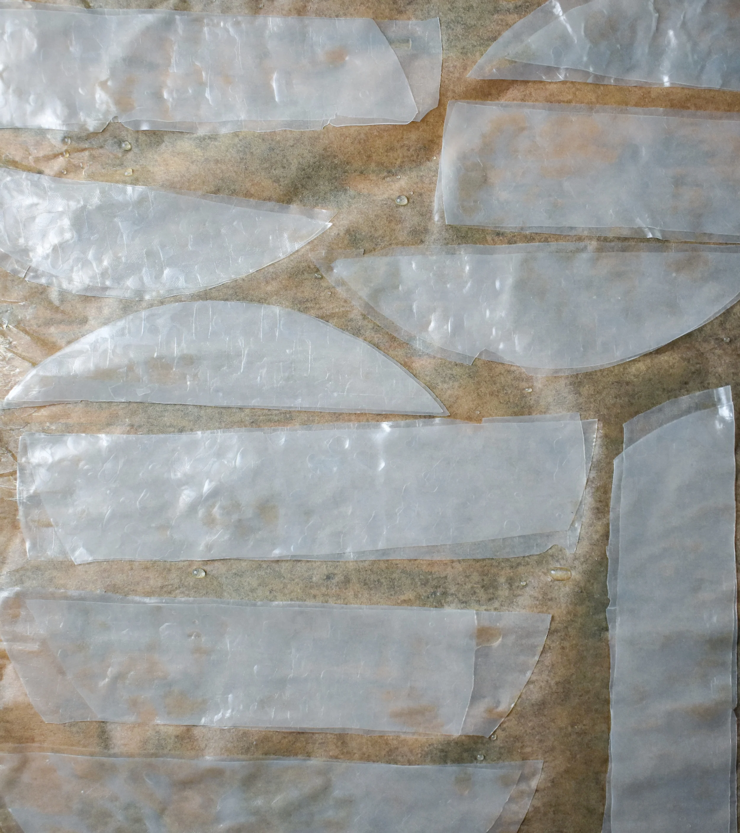5. All your pairs should be wet and formed together on your parchment sheet. You may need a second baking sheet lined with parchment paper depending on how large your baking sheet is.