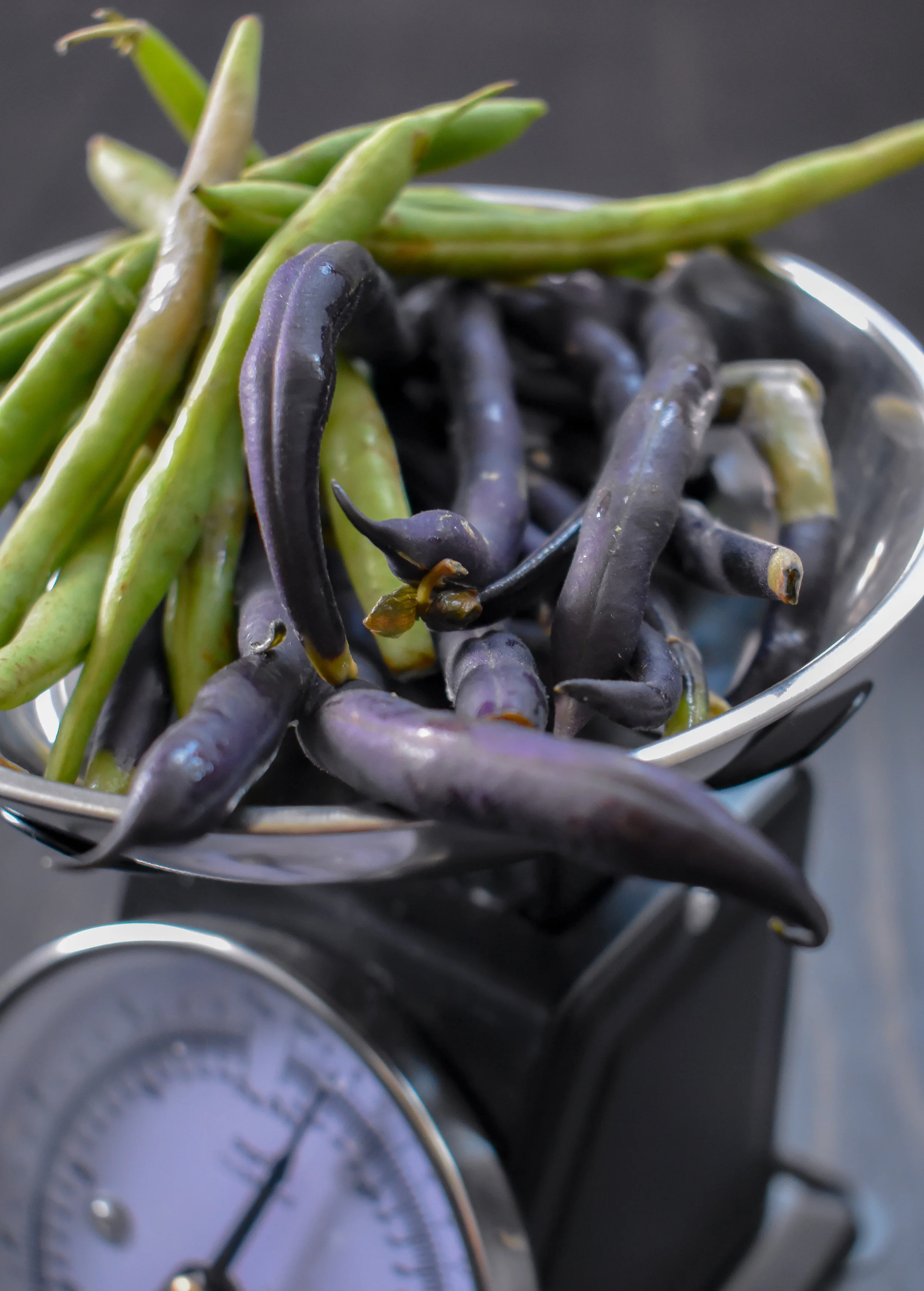 3. Trim the ends ofo your green beans + cut in half. Add to the boiling pot of water and cook for 5 minutes to blanch. Remove, strain, and add to the ice water bath and let it sit for 2-3 minutes. Strain and set aside.