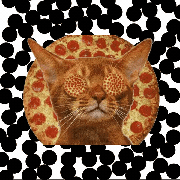 OML_pizza_cat_020718+(1).gif