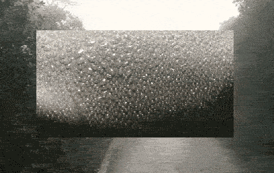 LUSH Perfumes - DIRECTION | EDIT