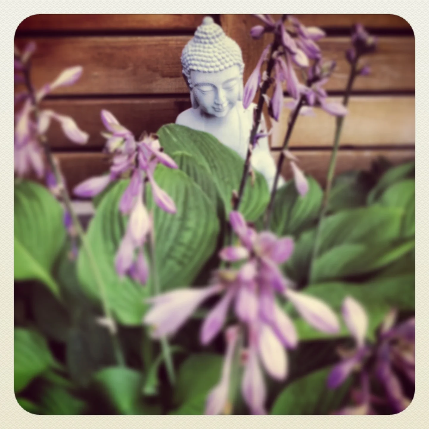 Ramsay Oversize Infill: Exterior