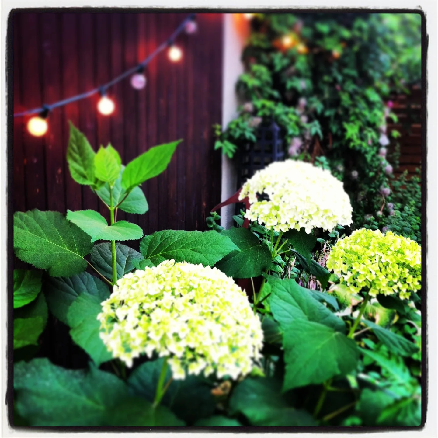 Ramsay Oversize Infill: Exterior