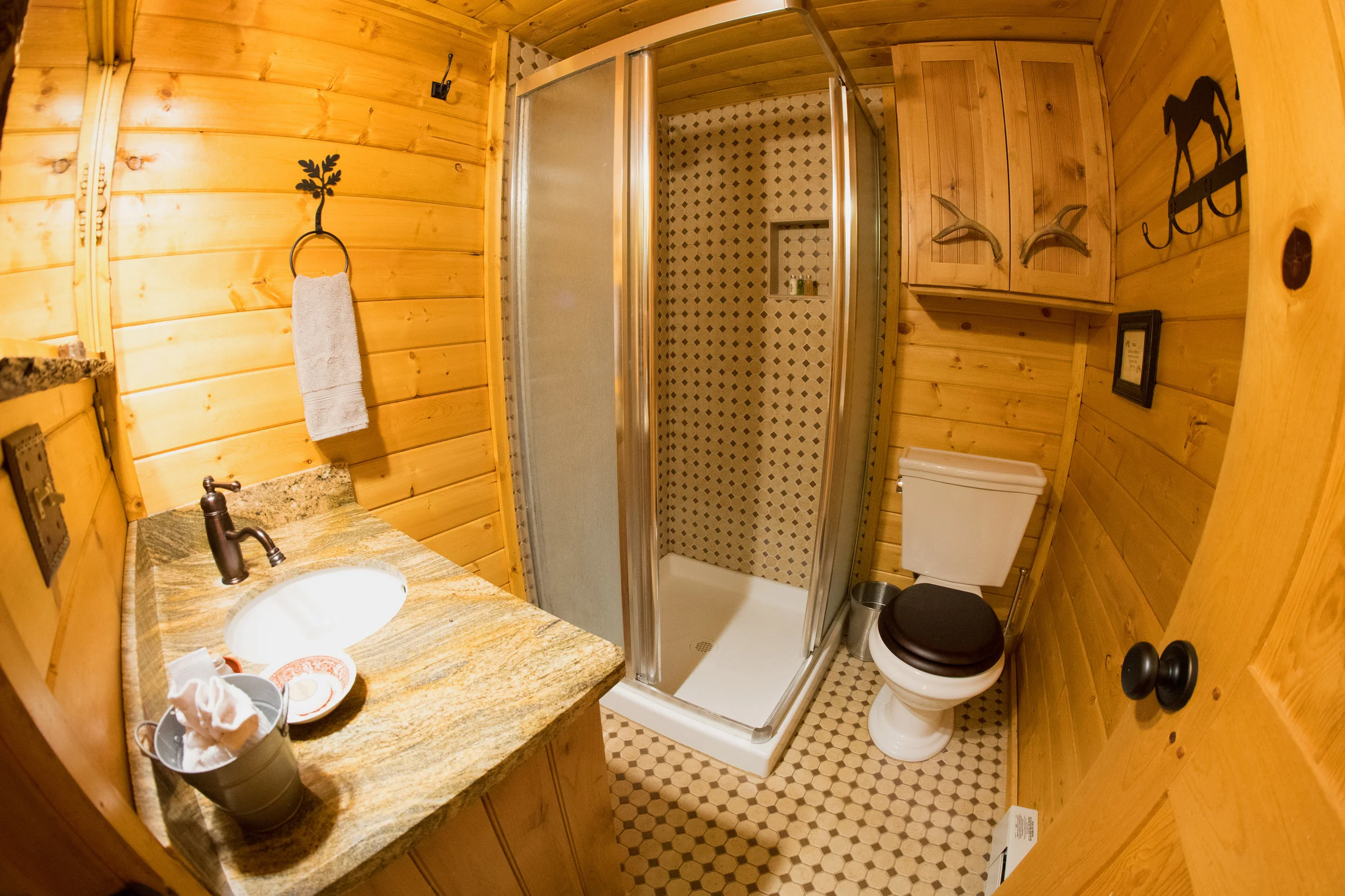 Acorn Downstairs Shower and Vanity 2017.jpg