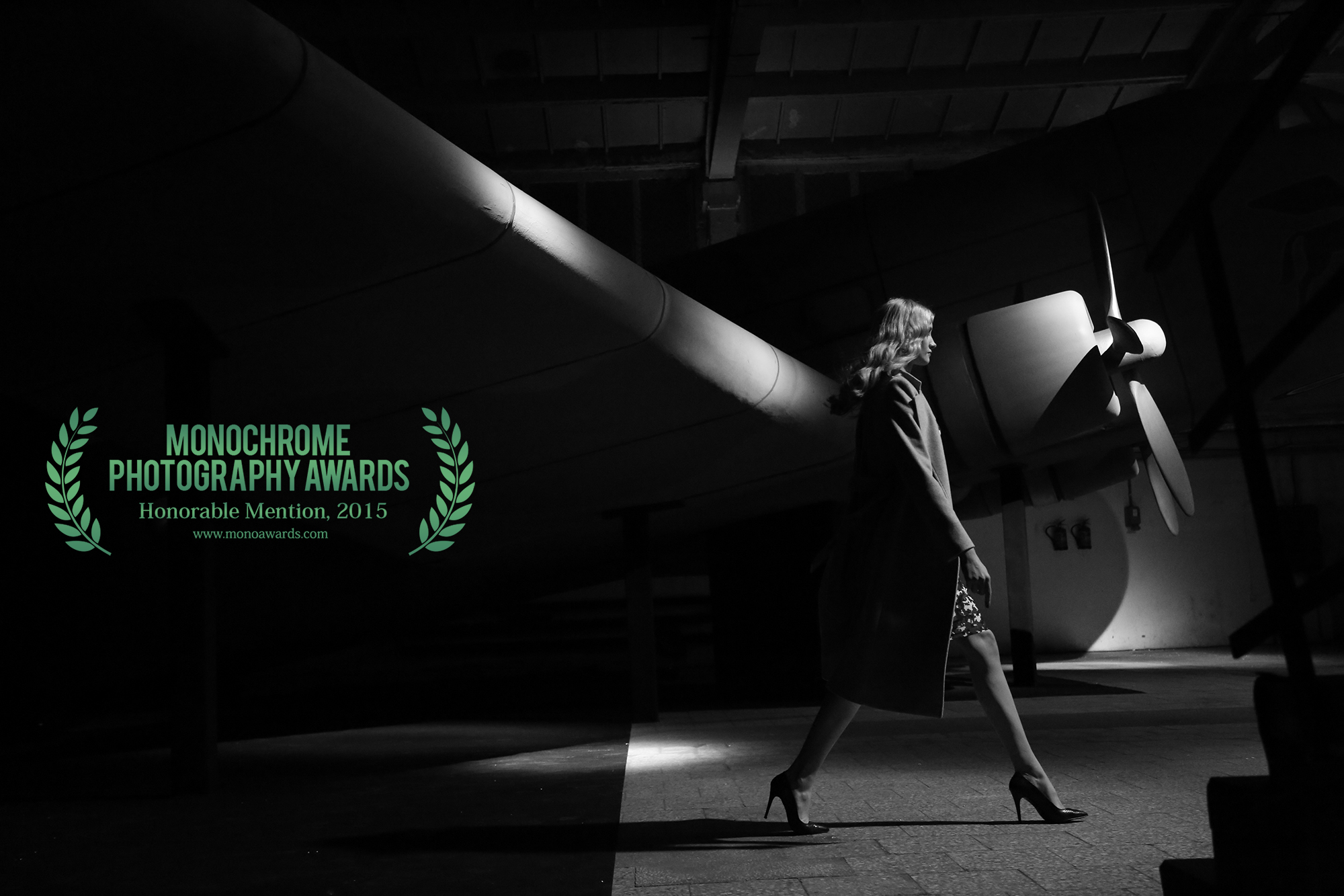 Anna Tokarska Monochrome Awards 2015 fashion .jpeg
