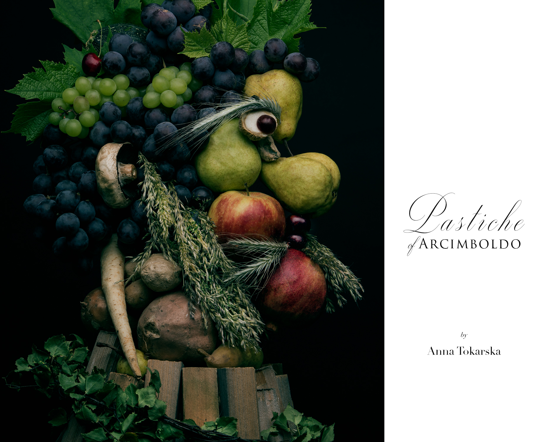 Arcimboldo Pastiche Anna Tokarska FB.jpg