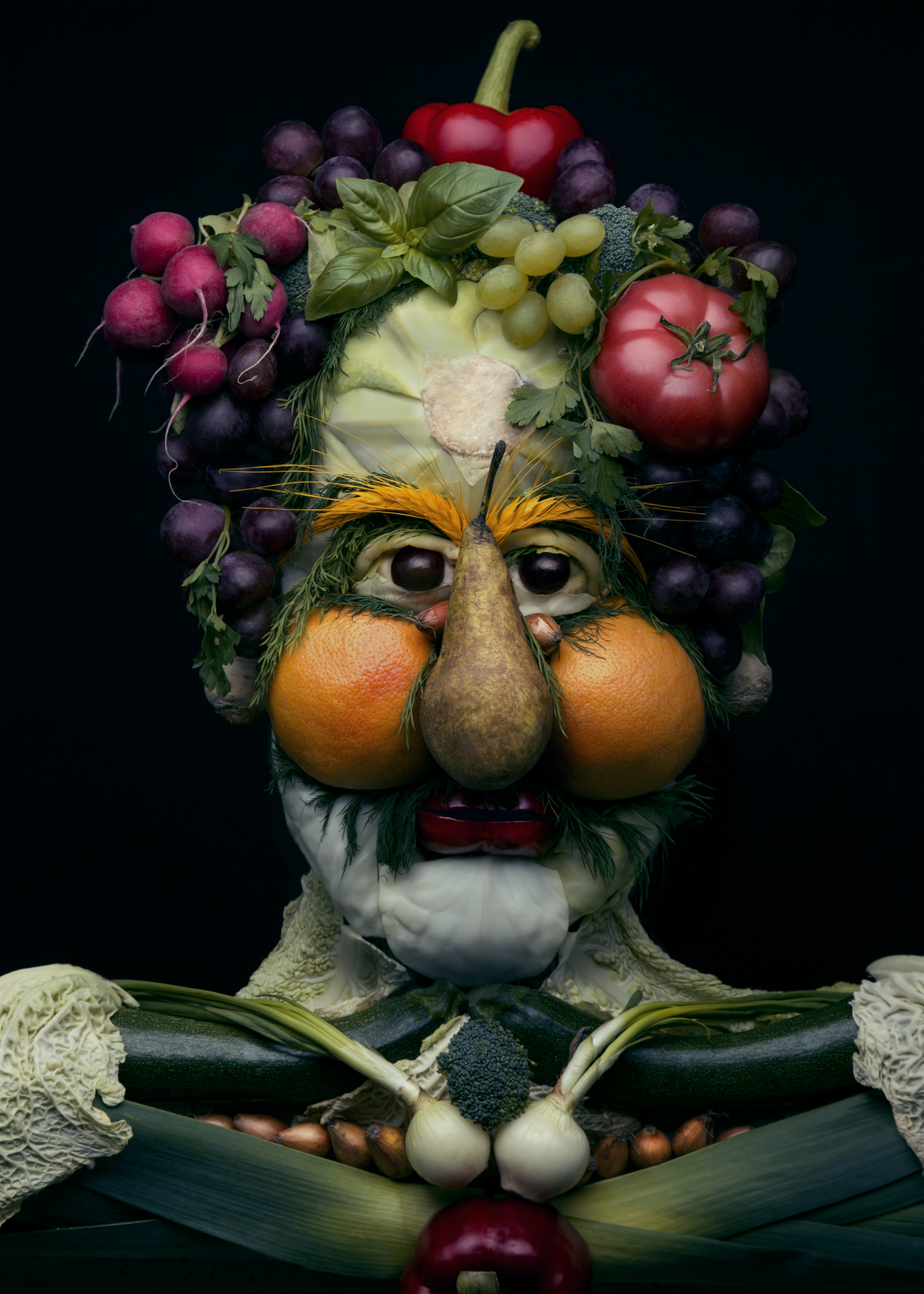 2_Anna Tokarska_50x70_ Arcimboldo 2016 _1.jpg