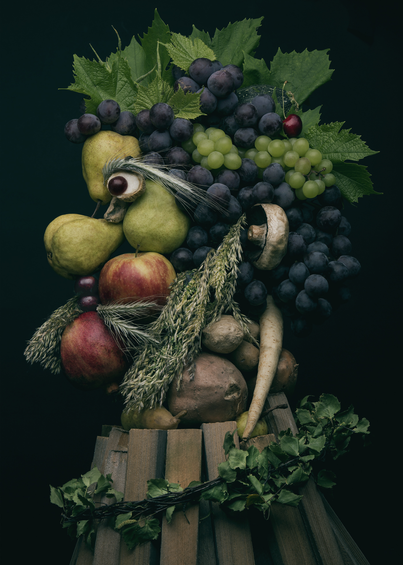 3_Anna Tokarska _50x70_ Arcimboldo13310_1.jpg