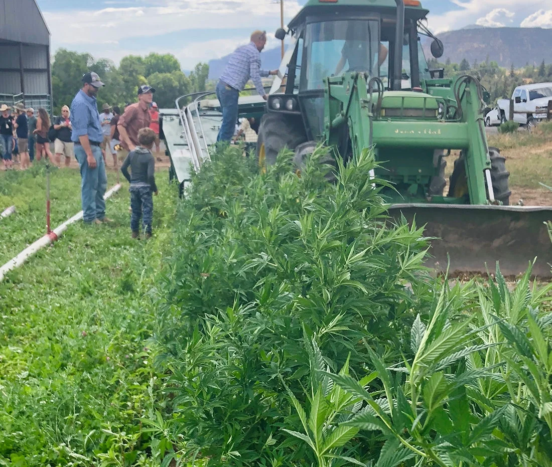 7-18 hemp grows more popular in area.jpg
