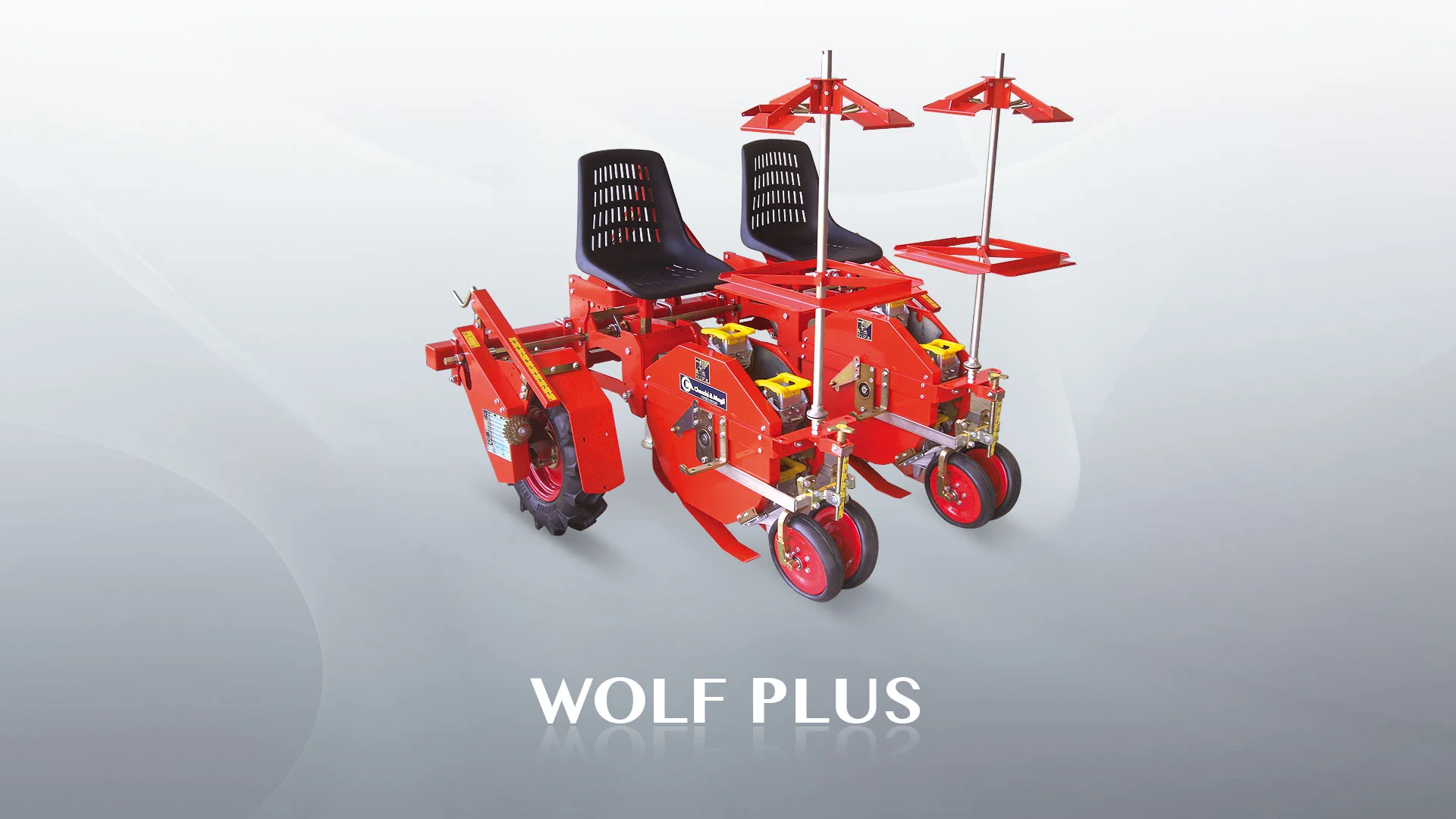 wolf-plus.jpg