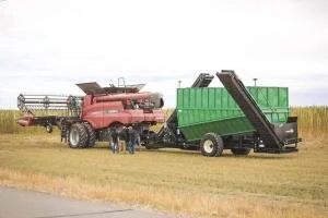 harvest process hemp 9-19.jpg