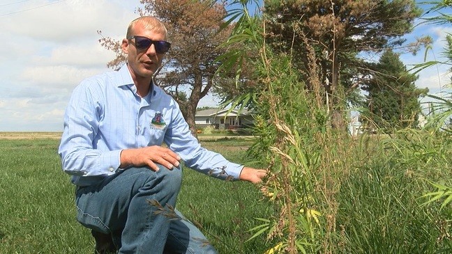 9-25 andy hemp at home.jpg