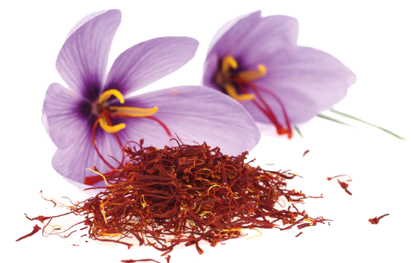 slider_safran resize-trans.png