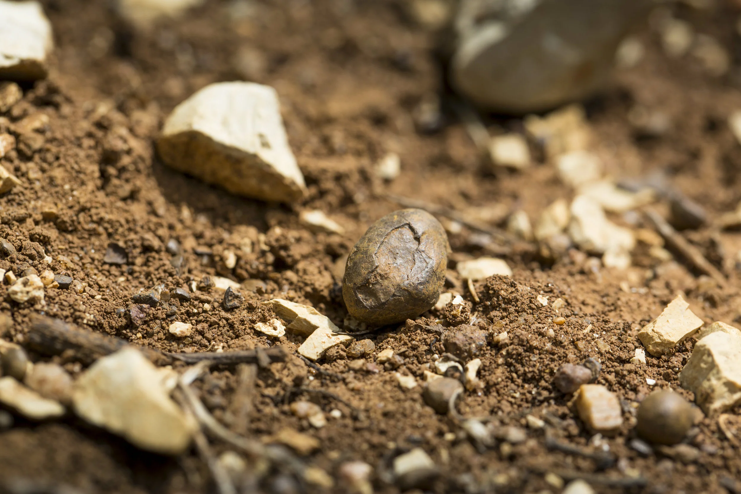 plateau - iron concretion.jpg