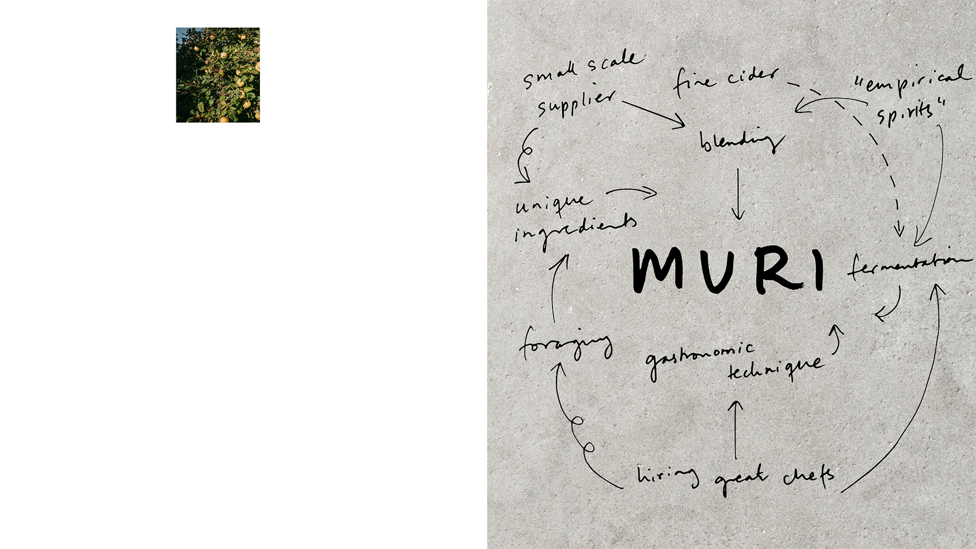 opposite_house_brand_id_muri_4.gif