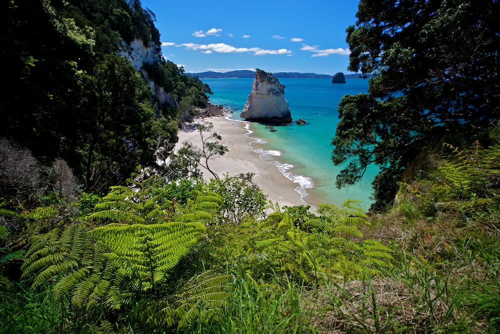 The Coromandel – a dining destination