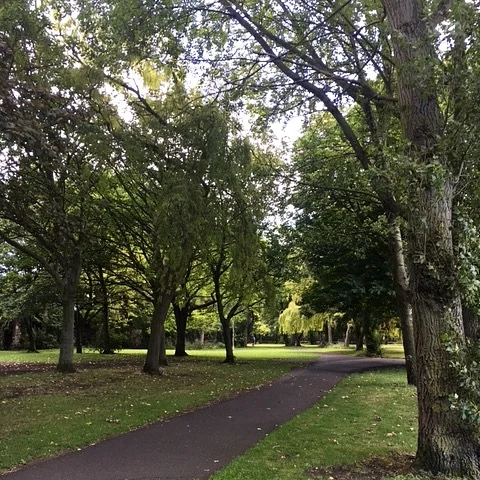 RingsEnd2.JPG