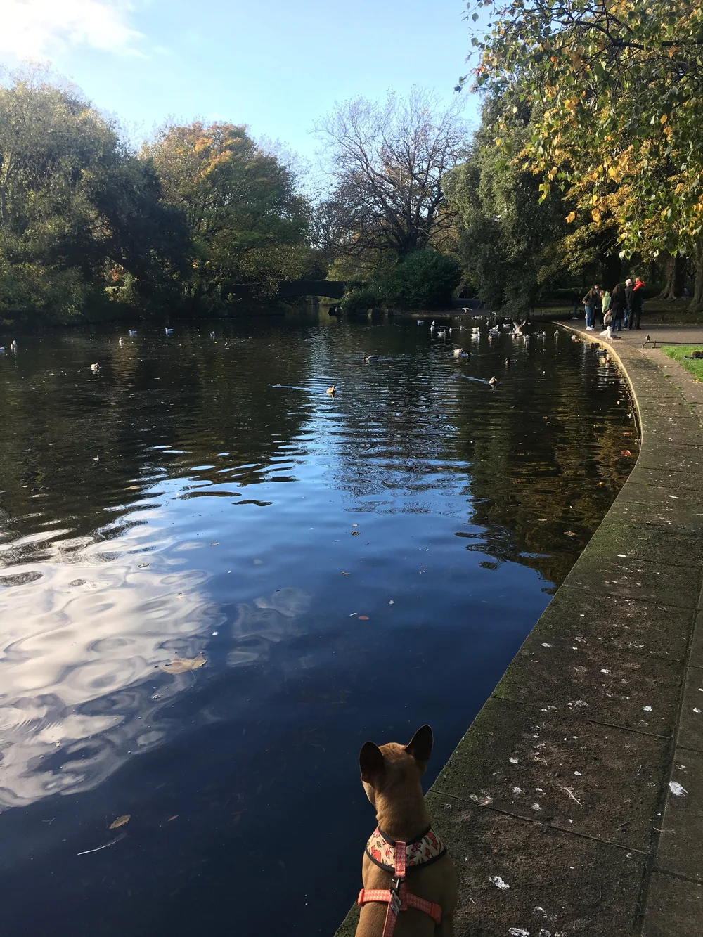 St. Stephen's Green