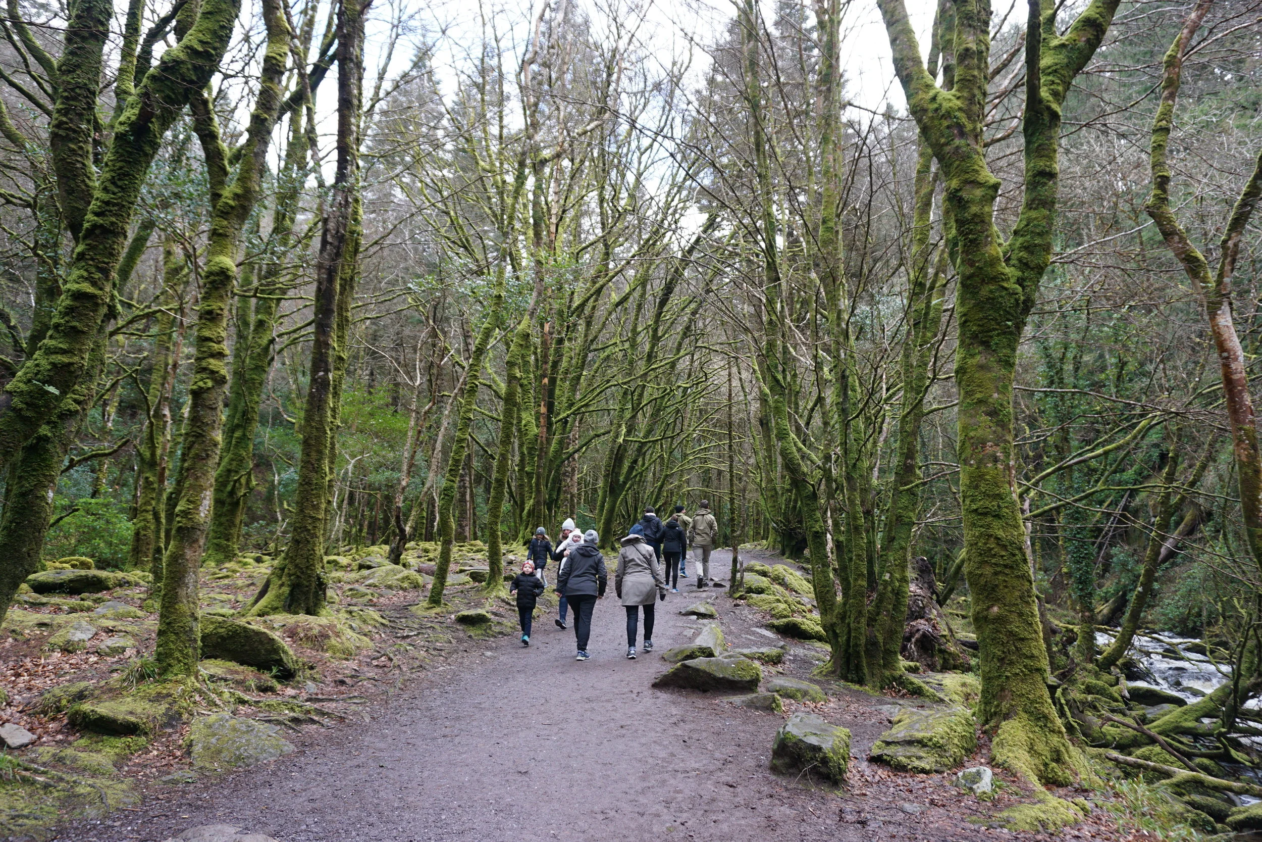Killarney National Park