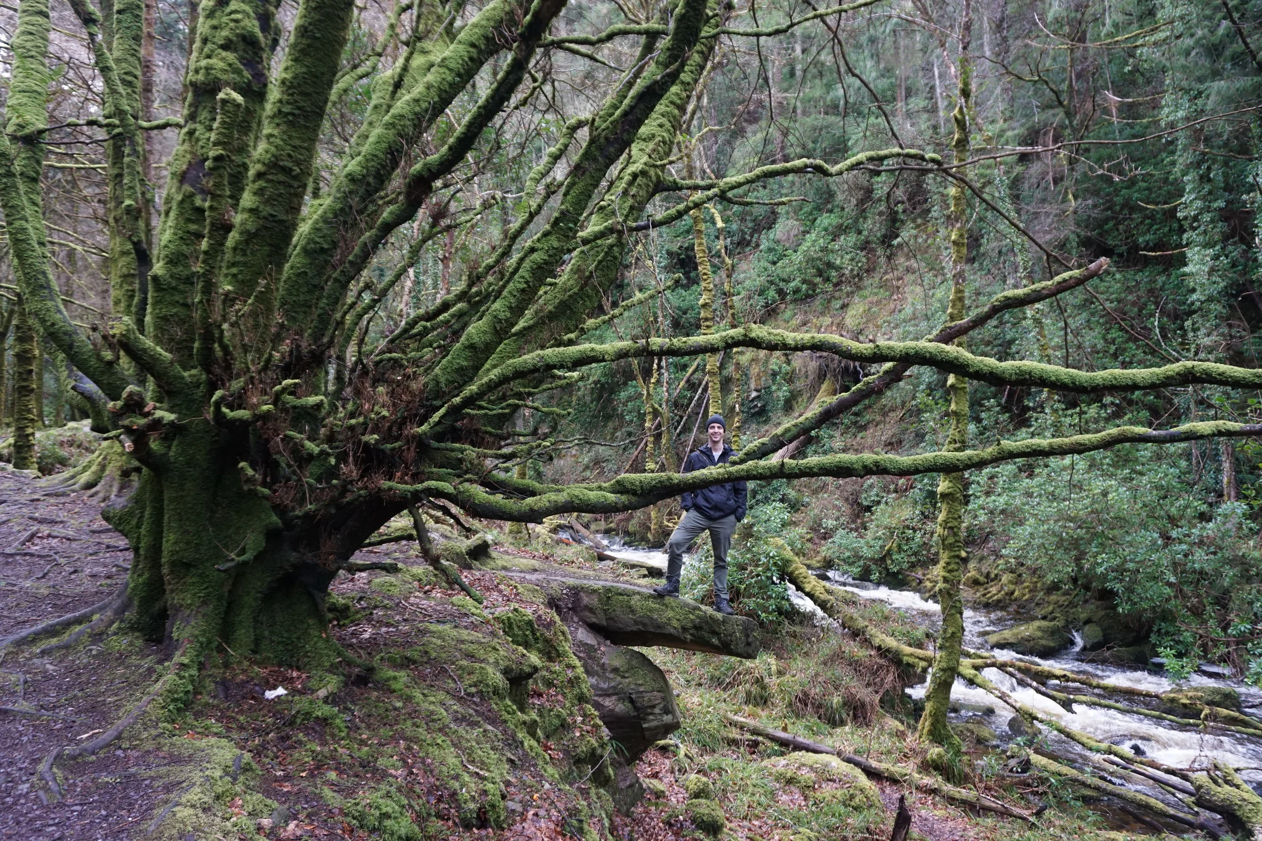 Killarney National Park