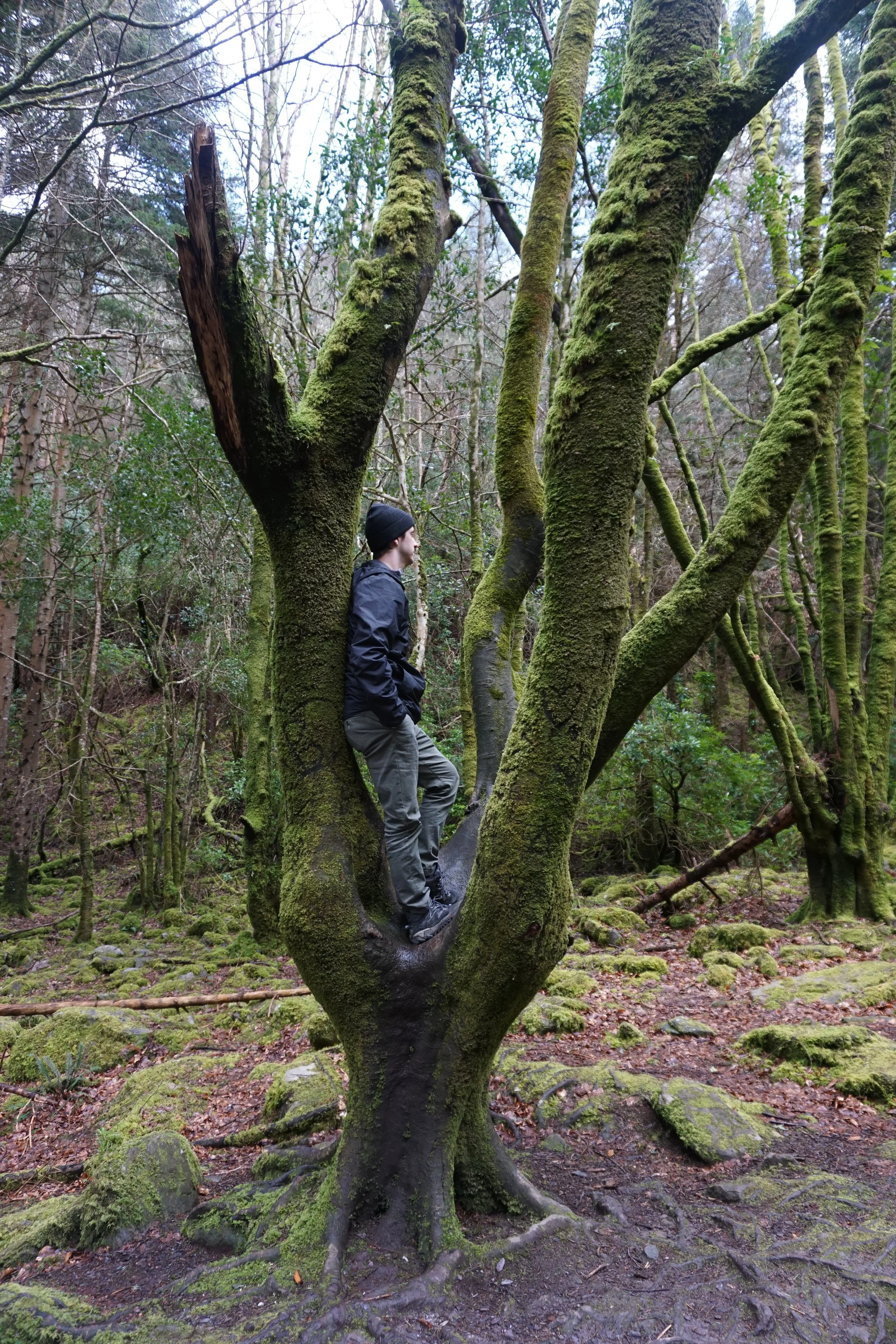 Killarney National Park