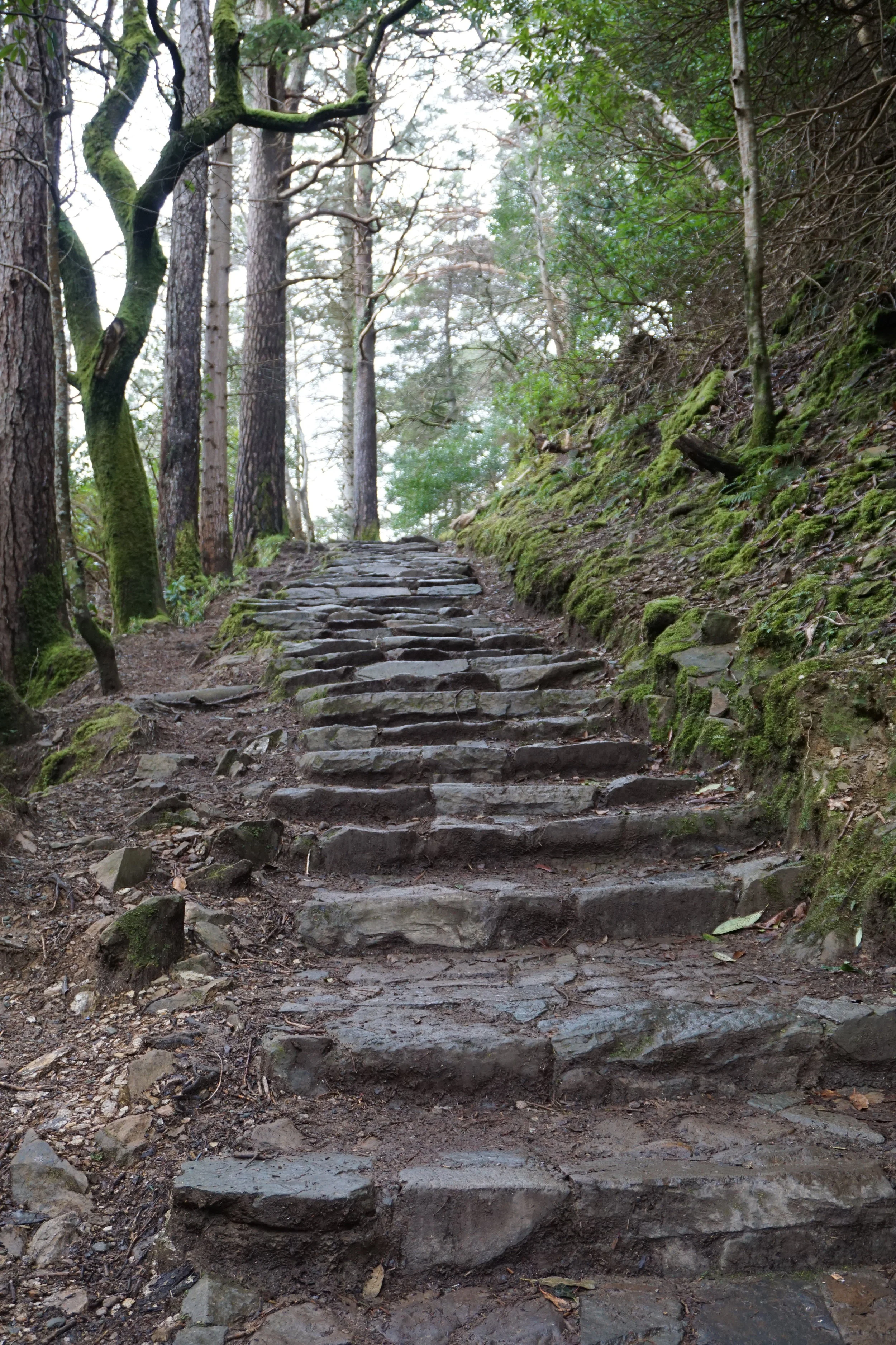 Killarney National Park