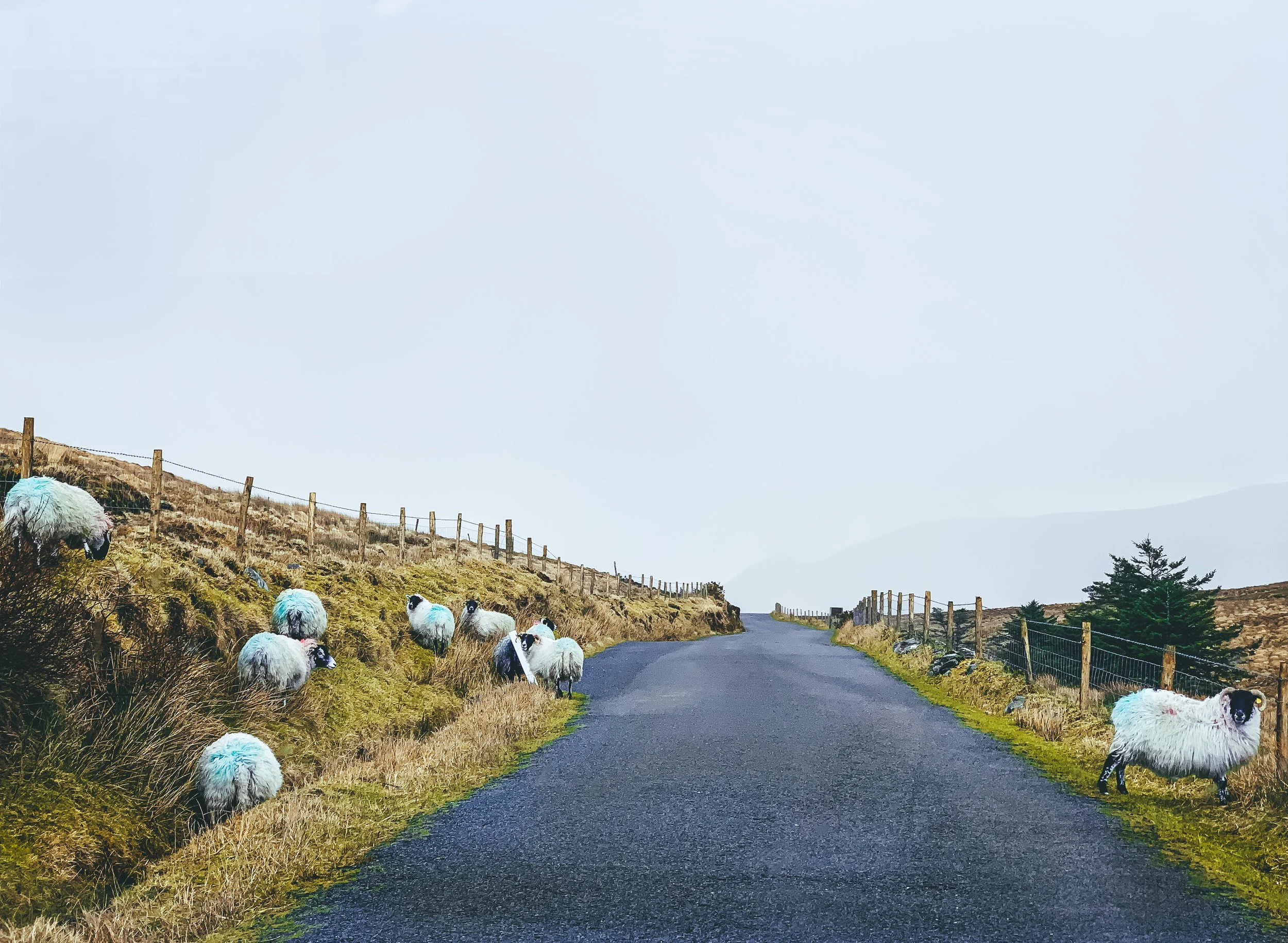 Tips for Driving in Ireland