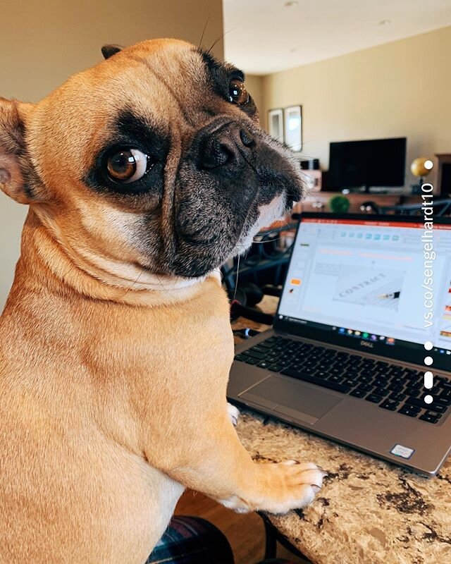 Mom, I&rsquo;m trying to work. Can ya not? 💻