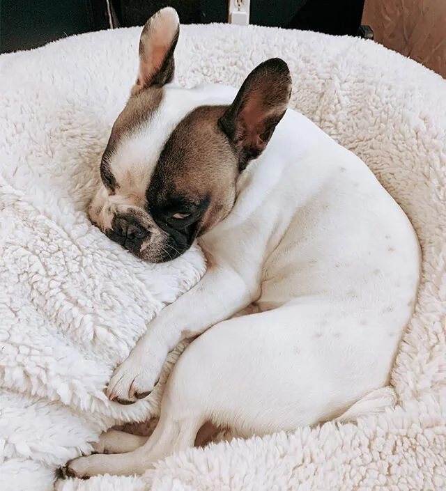 Quarantine day # whatever whatever