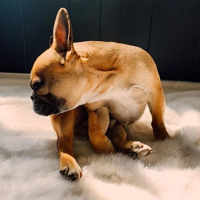 casually sleeping 😴