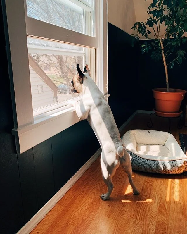 Would you keep it down out there?! I&rsquo;m trying to sleeps!