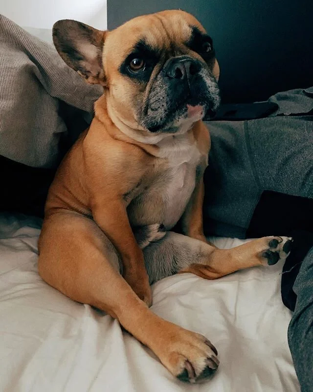 I didn&rsquo;t choose the Pooh life, the Pooh life chose me. 🍯